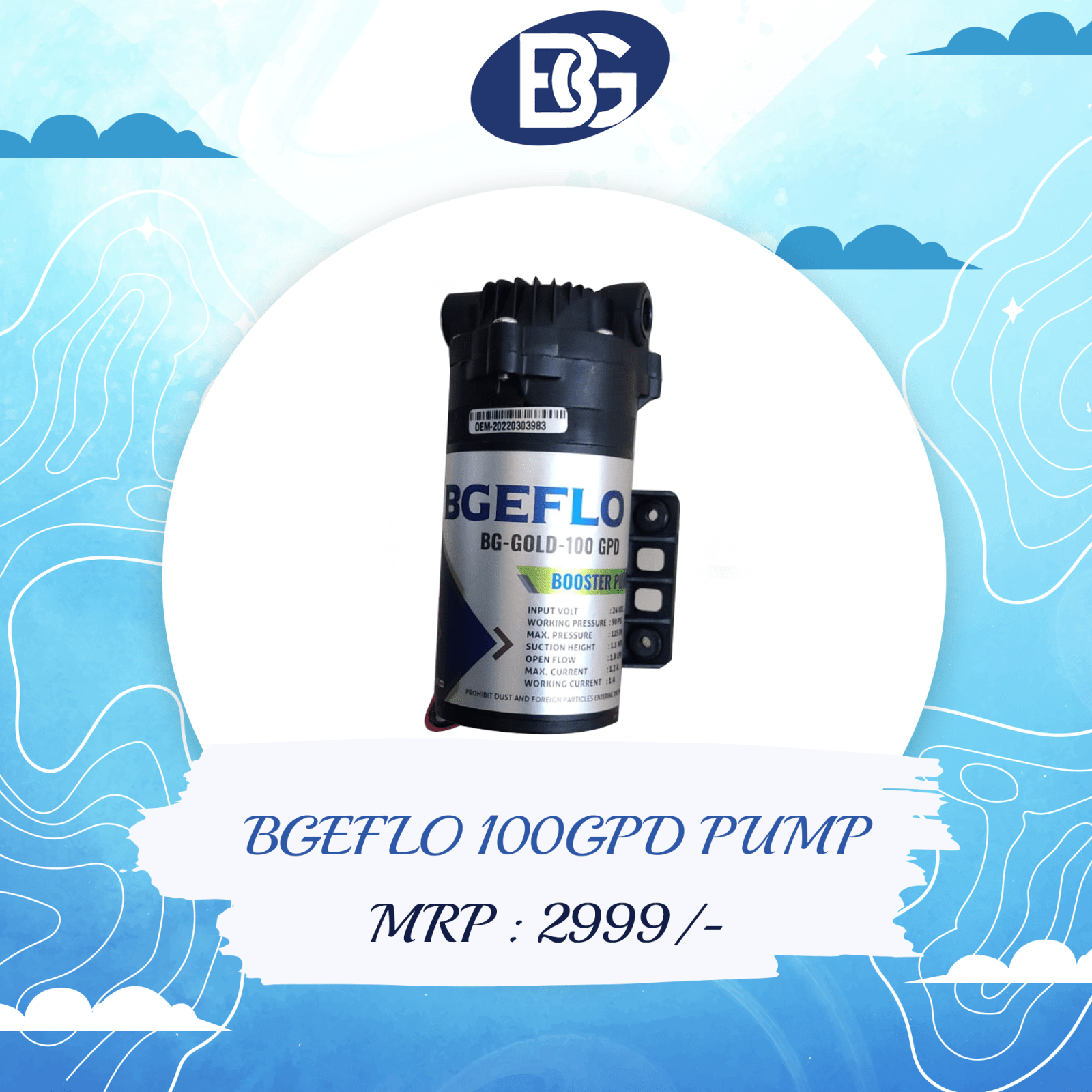 BGEFLO 100GPD PUMP