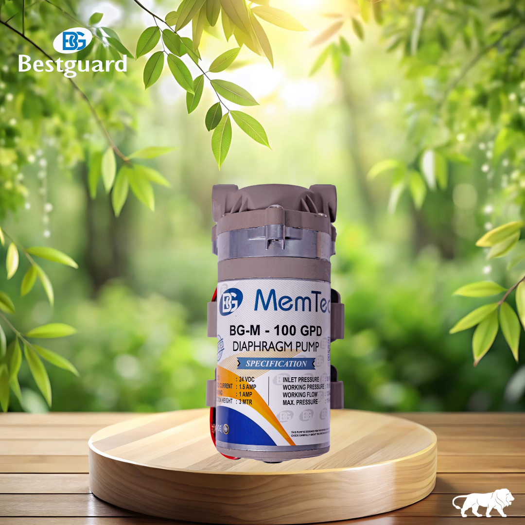 BG Memtec BH-M 100GPD PUMP